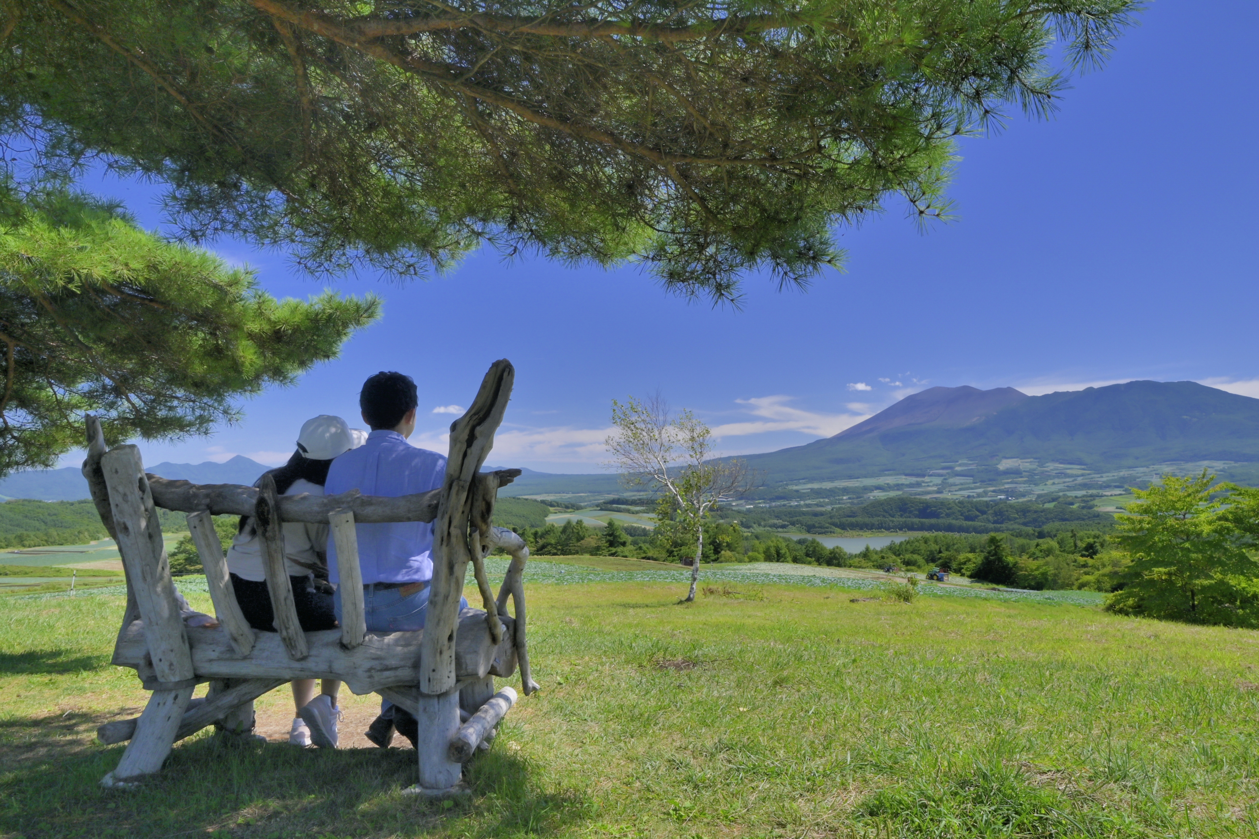 群馬県知事賞【爽秋】（嬬恋村：愛妻の丘）