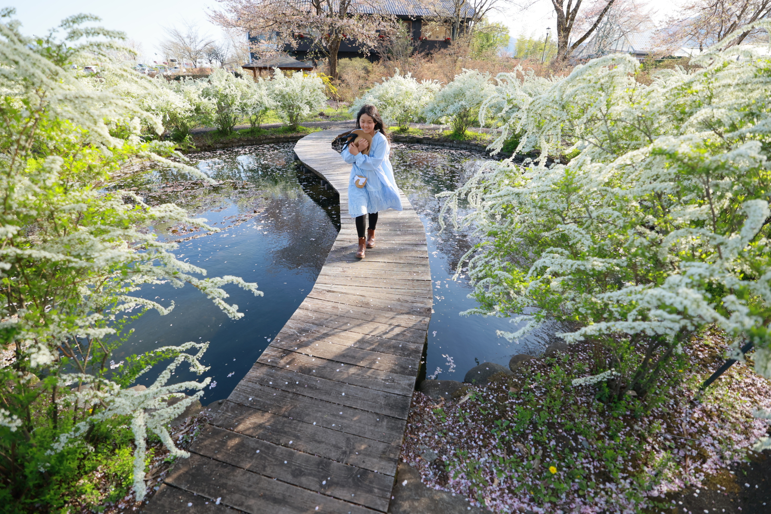 吾妻観光連盟会長賞【お花にかこまれて】（中之条町：中之条ガーデンズ）