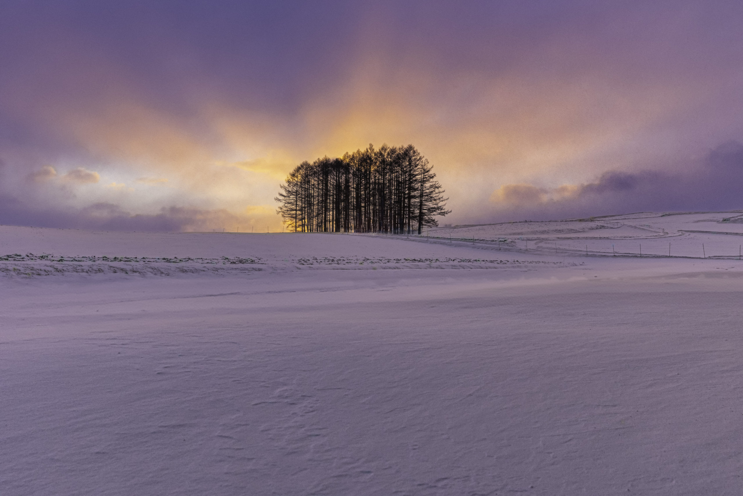 吾妻振興局長賞【薄明光線】（嬬恋村：カラマツの丘）
