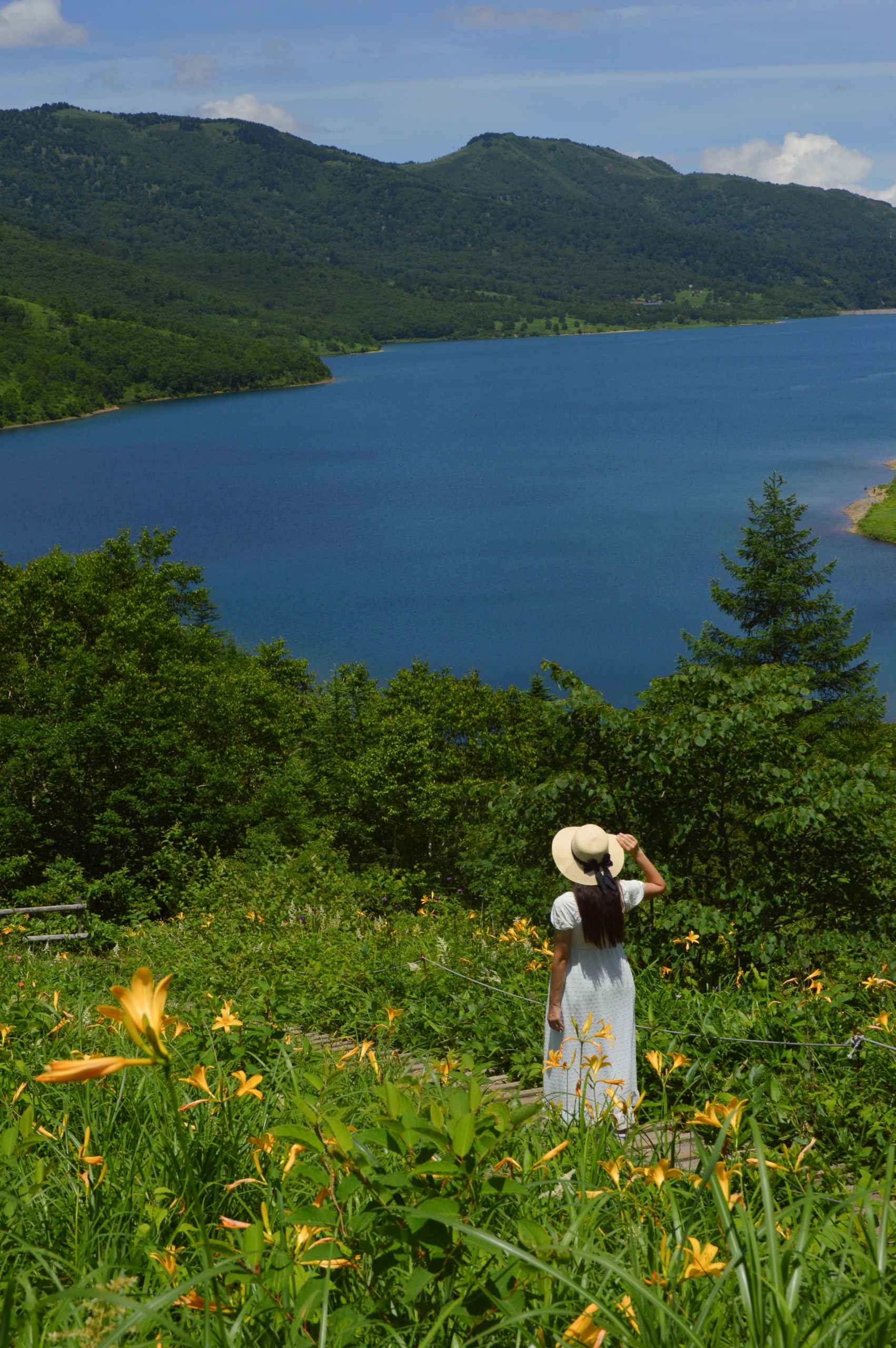 中之条町長賞【夏のお嬢さん】（中之条町：野反湖）