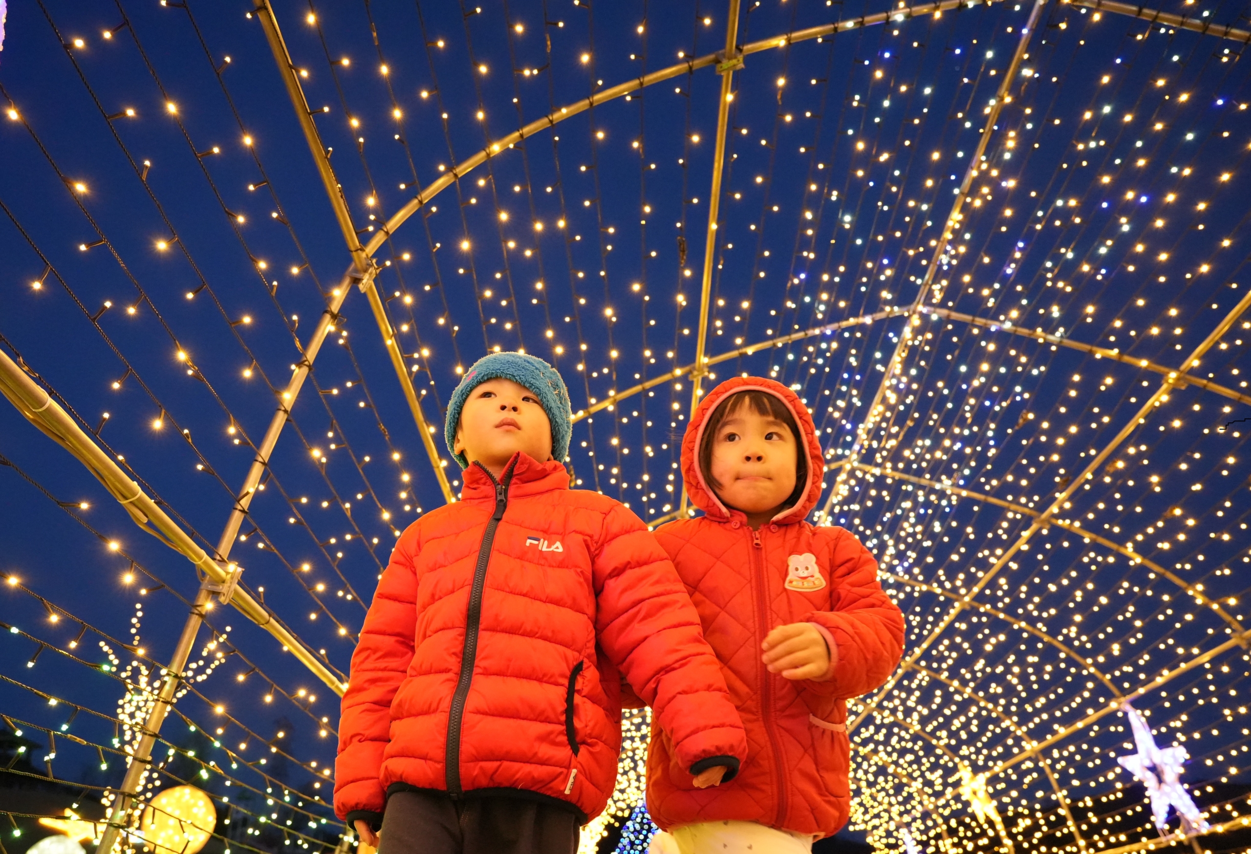 高山村長賞【ナカヤマボンチツインズイルミネーション】（高山村：道の駅中山盆地）