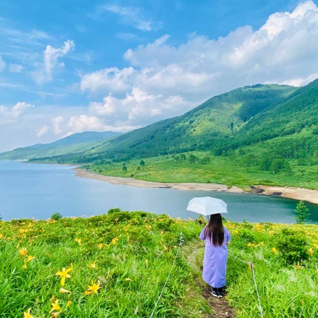 「天空の湖」を歩く！ 野反湖とチャツボミゴケ公園散策ツアー受付中！（中之条町）【3月30日（月）11月10日（火）】