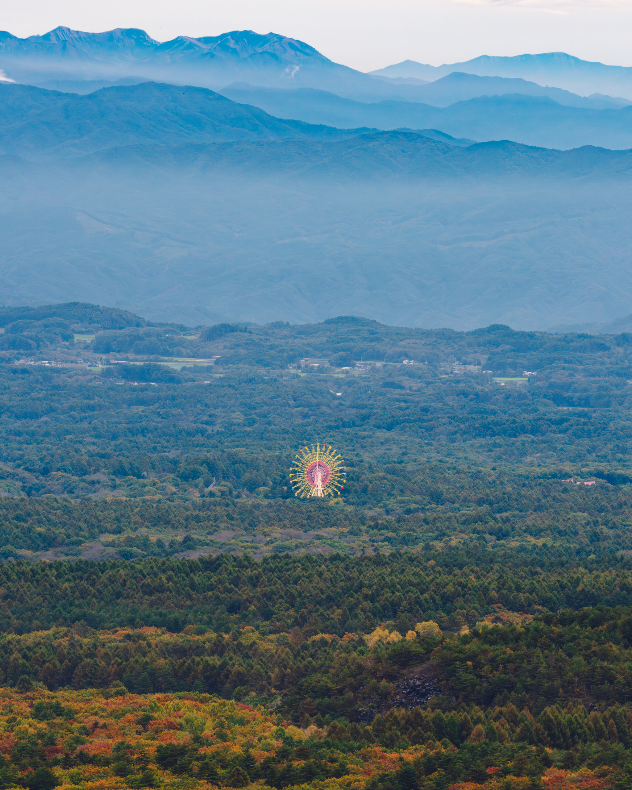 嬬恋村観光協会長賞【花ひらく観覧車】（嬬恋村：浅間高原シャクナゲ園）