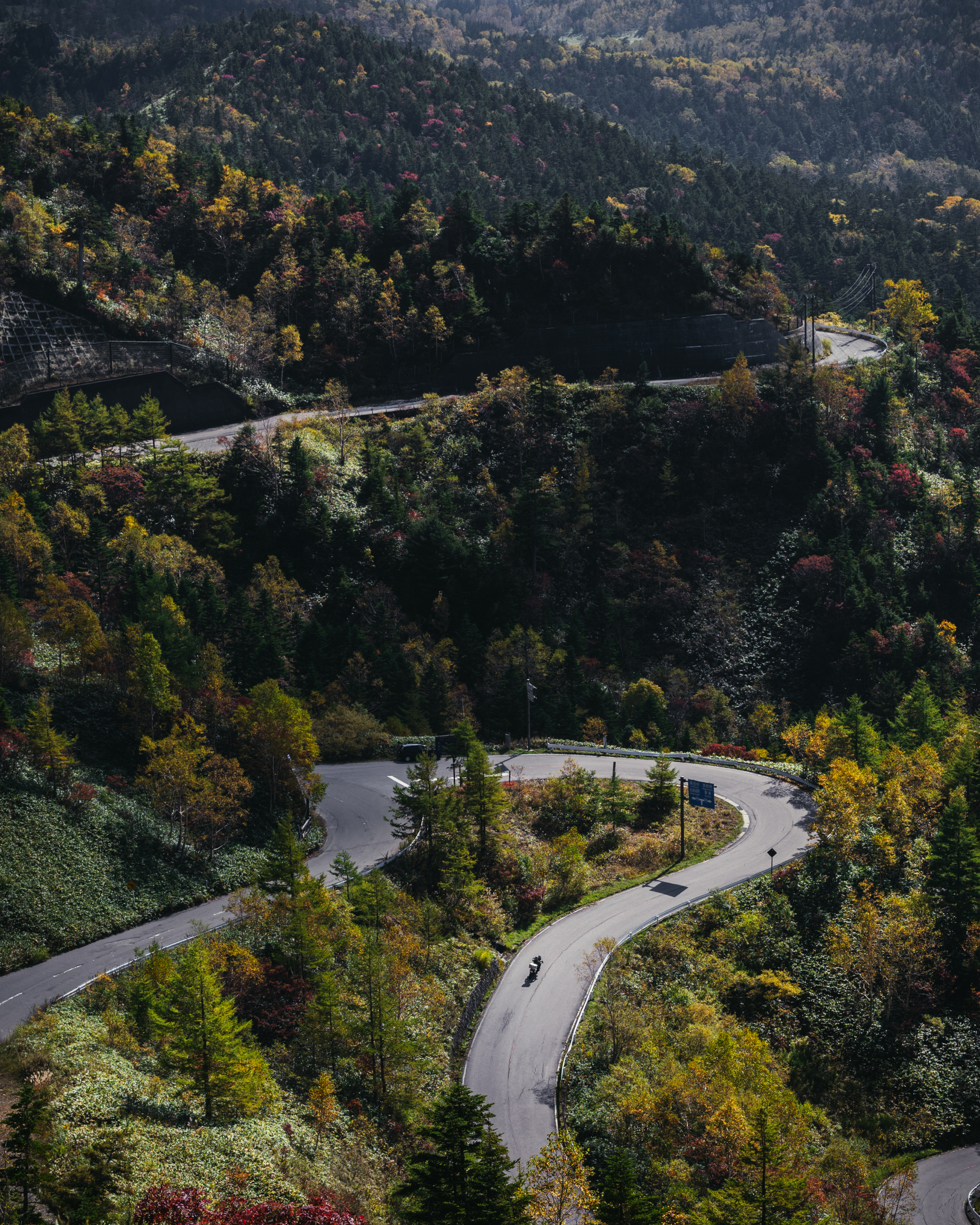 万座温泉観光協会長賞【秋を駆ける】（嬬恋村：万座三差路）