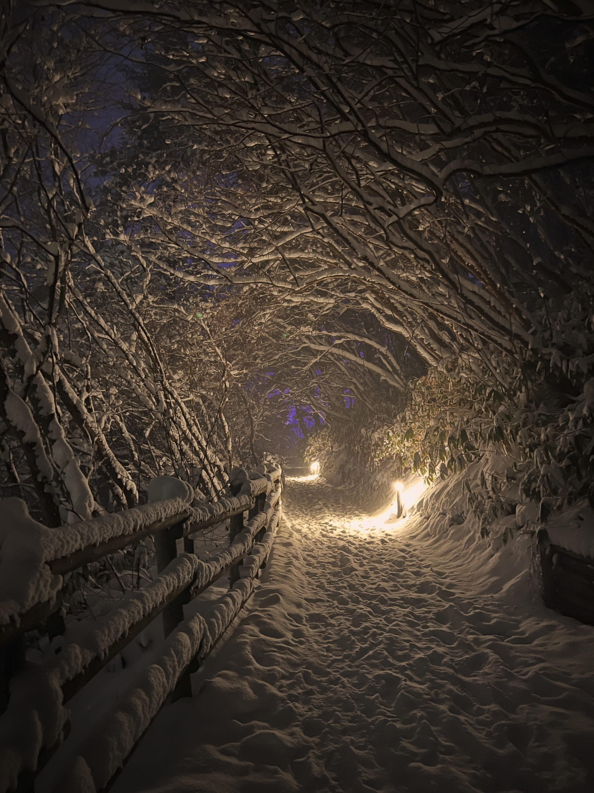 草津温泉旅館協同組合理事長賞【物語のとおりみち】（草津町：西の河原公園）