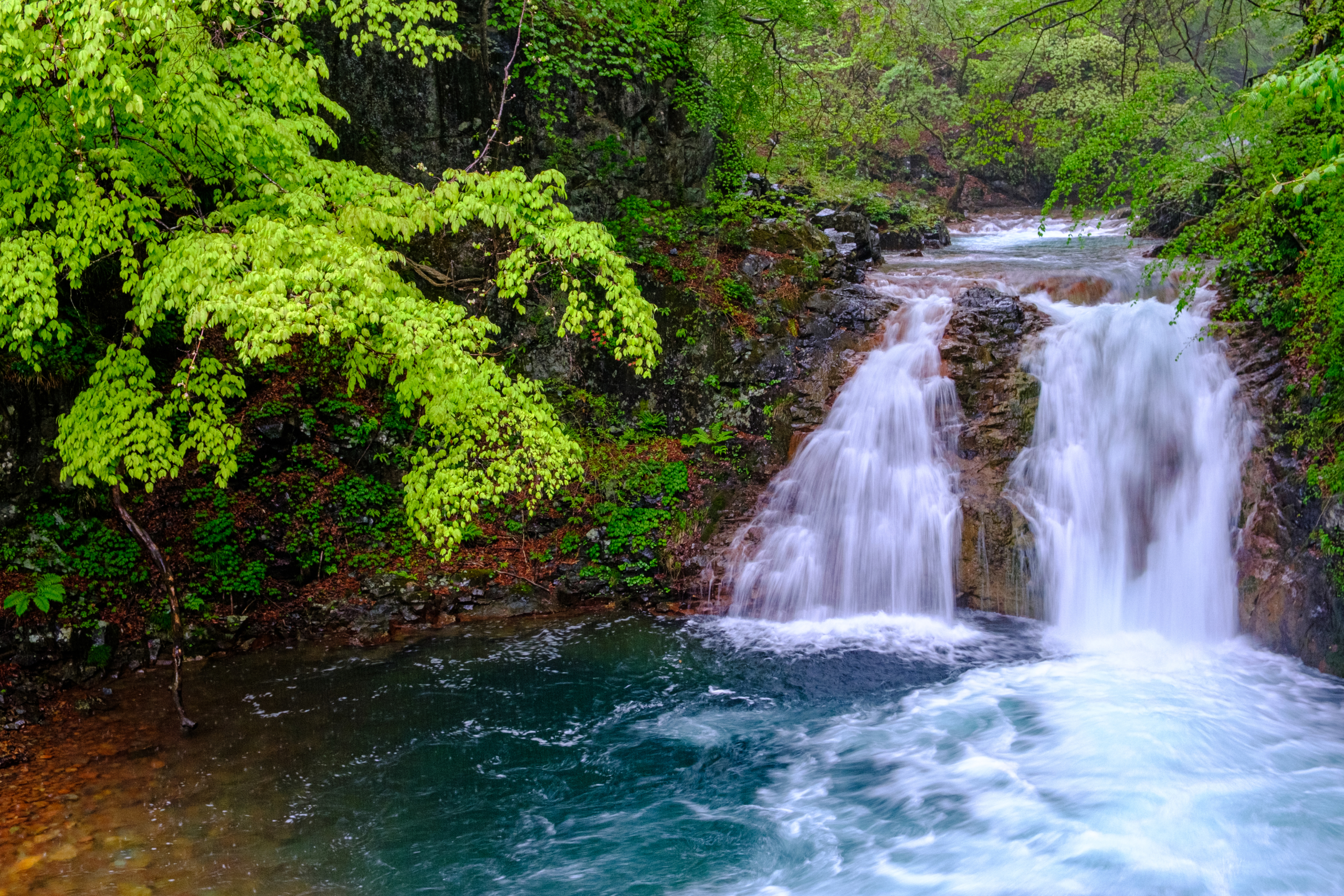 四万温泉協会長賞【新緑の癒】（中之条町：大泉の滝）
