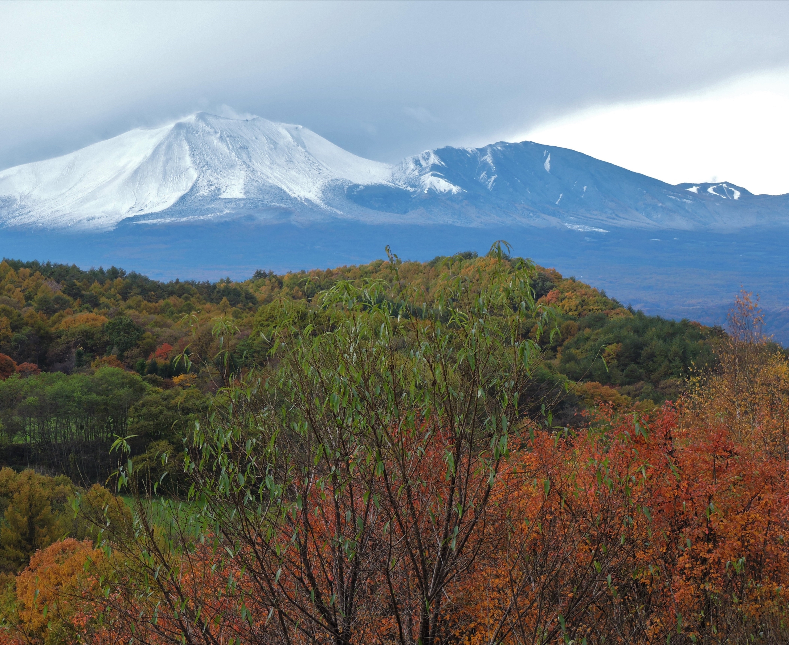 沢渡温泉旅館協同組合長賞【冬化粧】（中之条町：花楽の里）