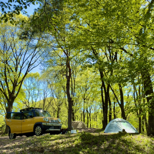 みどりの村キャンプ場