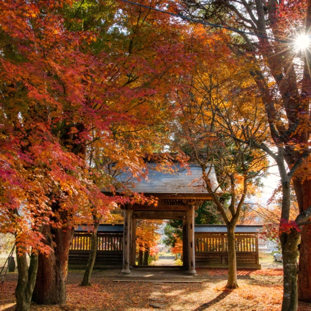 泉龍寺