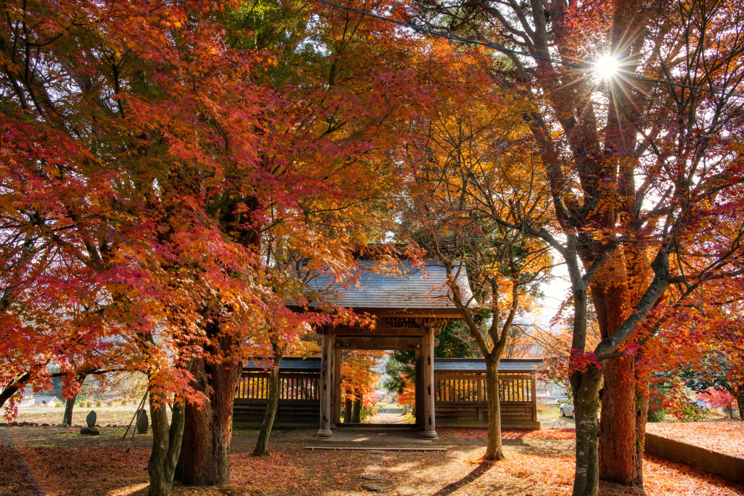 泉龍寺