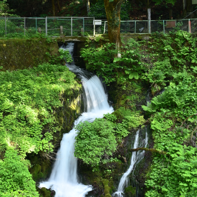 箱島湧水