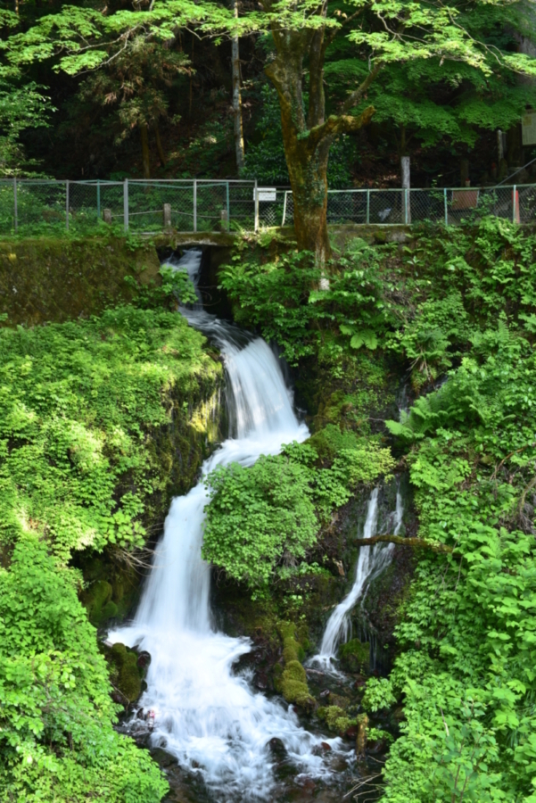 箱島湧水