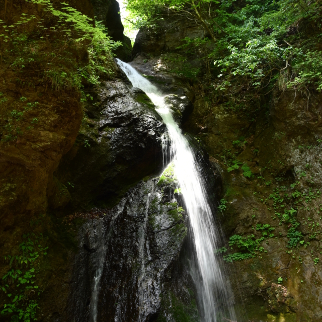 観音山不動滝