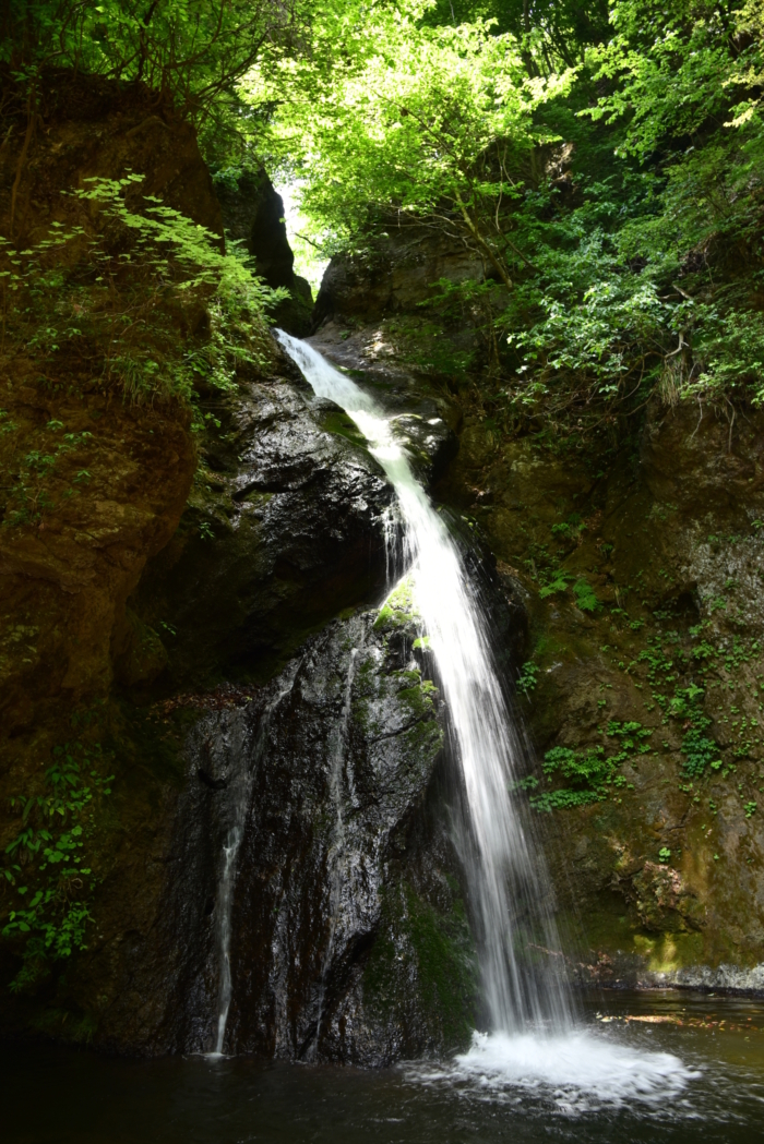 観音山不動滝