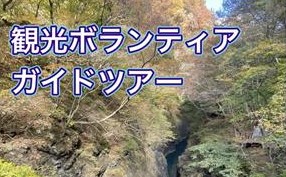 「紅葉の吾妻峡ハイキング（半日コース）」【11月6日（木）】※申込期限10月30日（木）まで