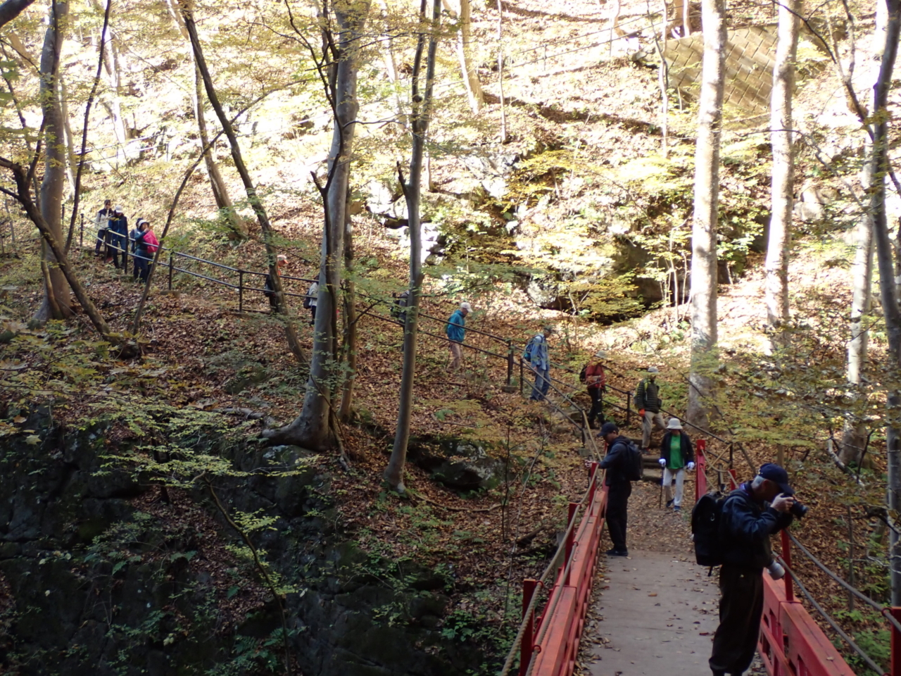 【東吾妻町】紅葉の吾妻峡ハイキング（半日コース）