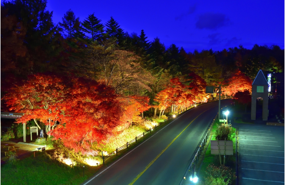 道の駅紅葉ライトアップ 2025