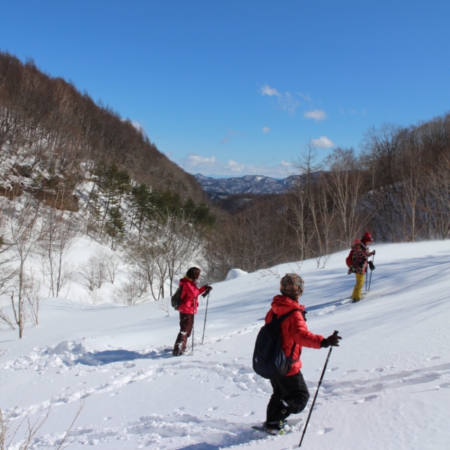 チャツボミゴケ公園スノーシューハイキング（中之条町）