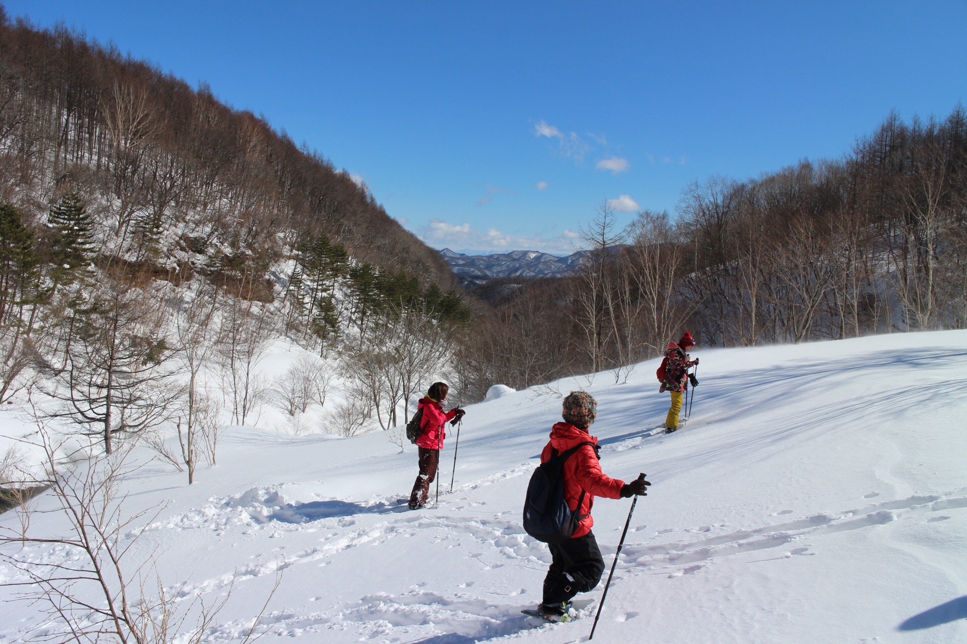 チャツボミゴケ公園スノーシューハイキング（中之条町）