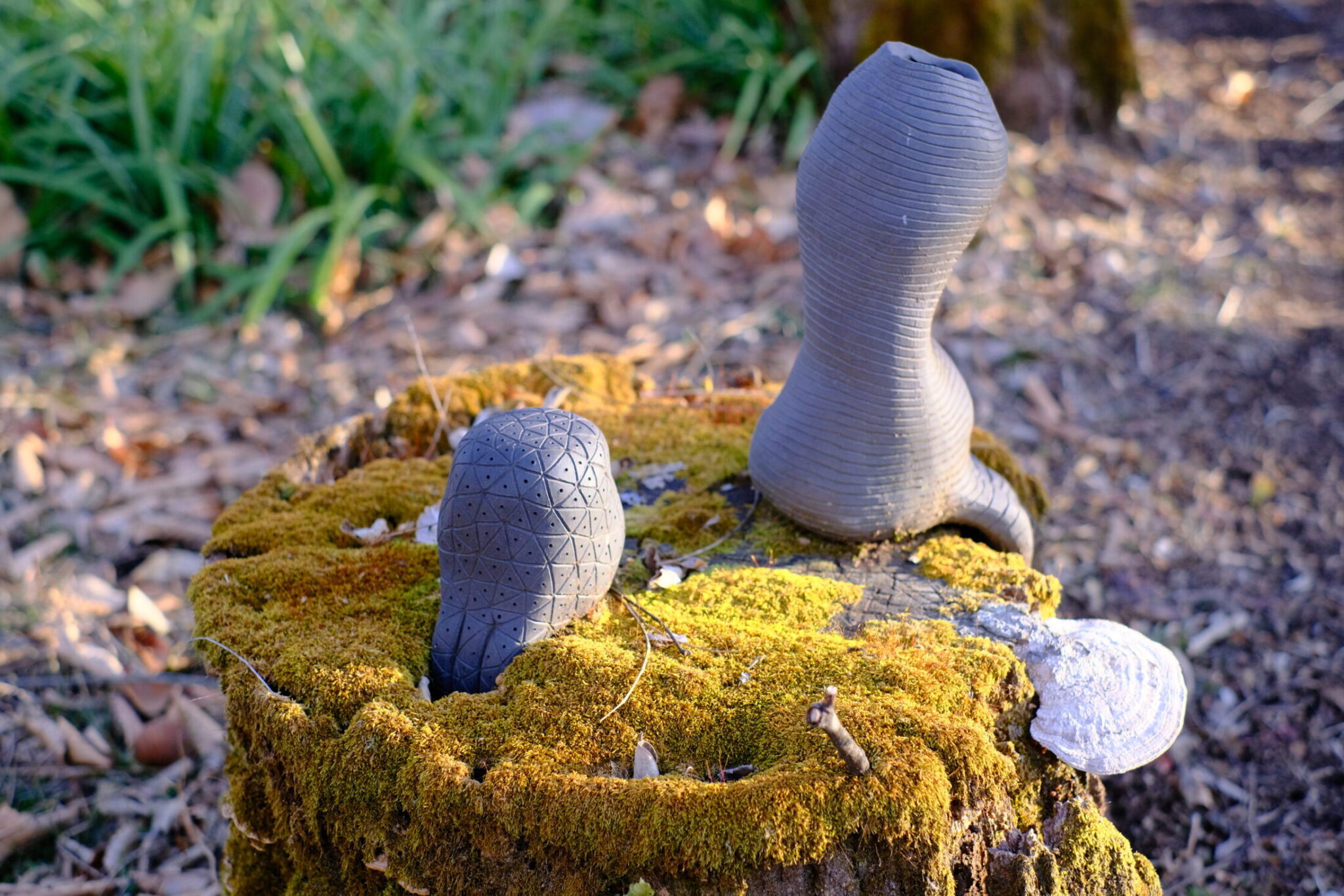 トリックスタークイズラリー【中之条ガーデンズ】