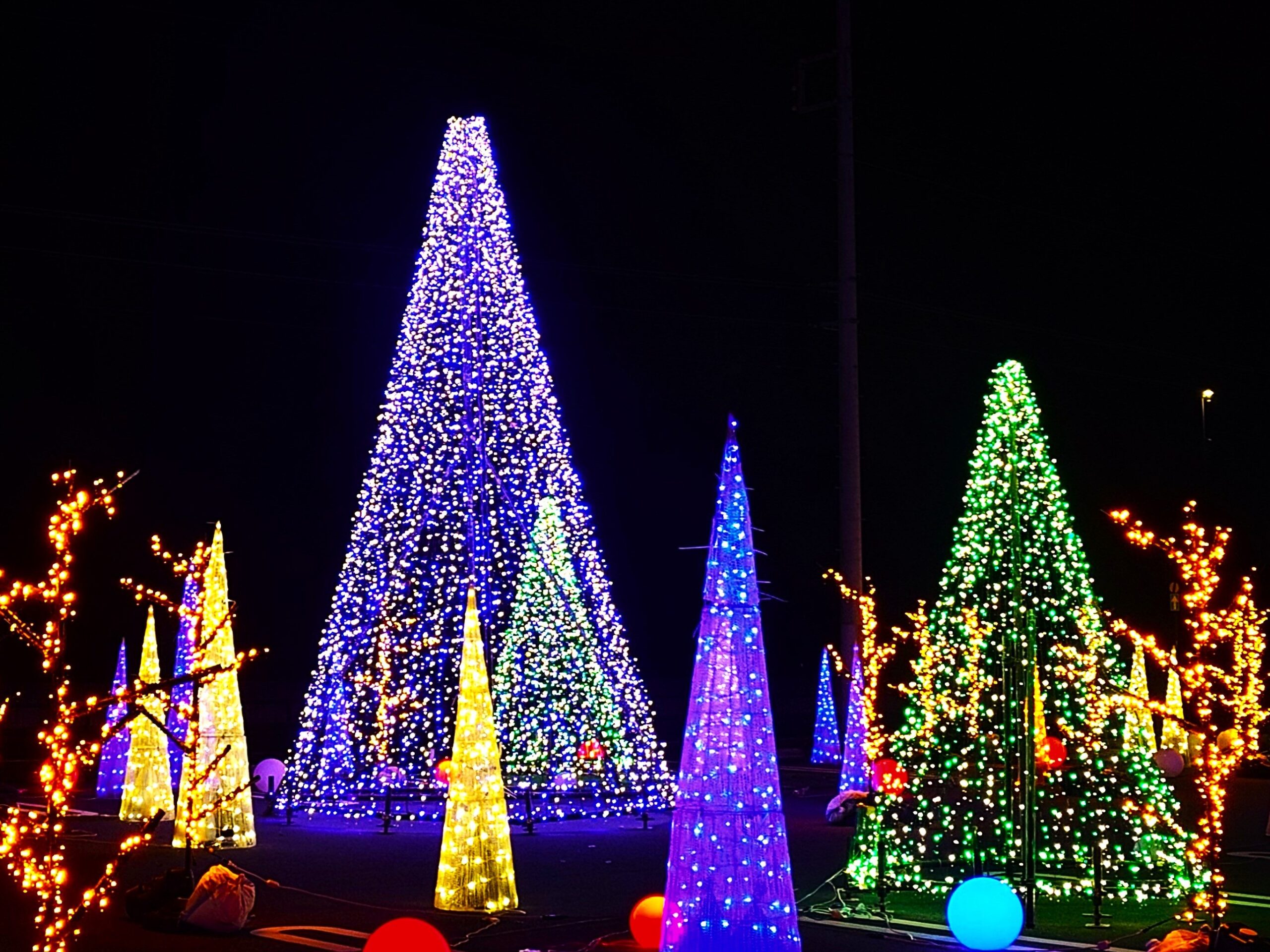 道の駅八ッ場ふるさと館イルミネーション【長野原町】