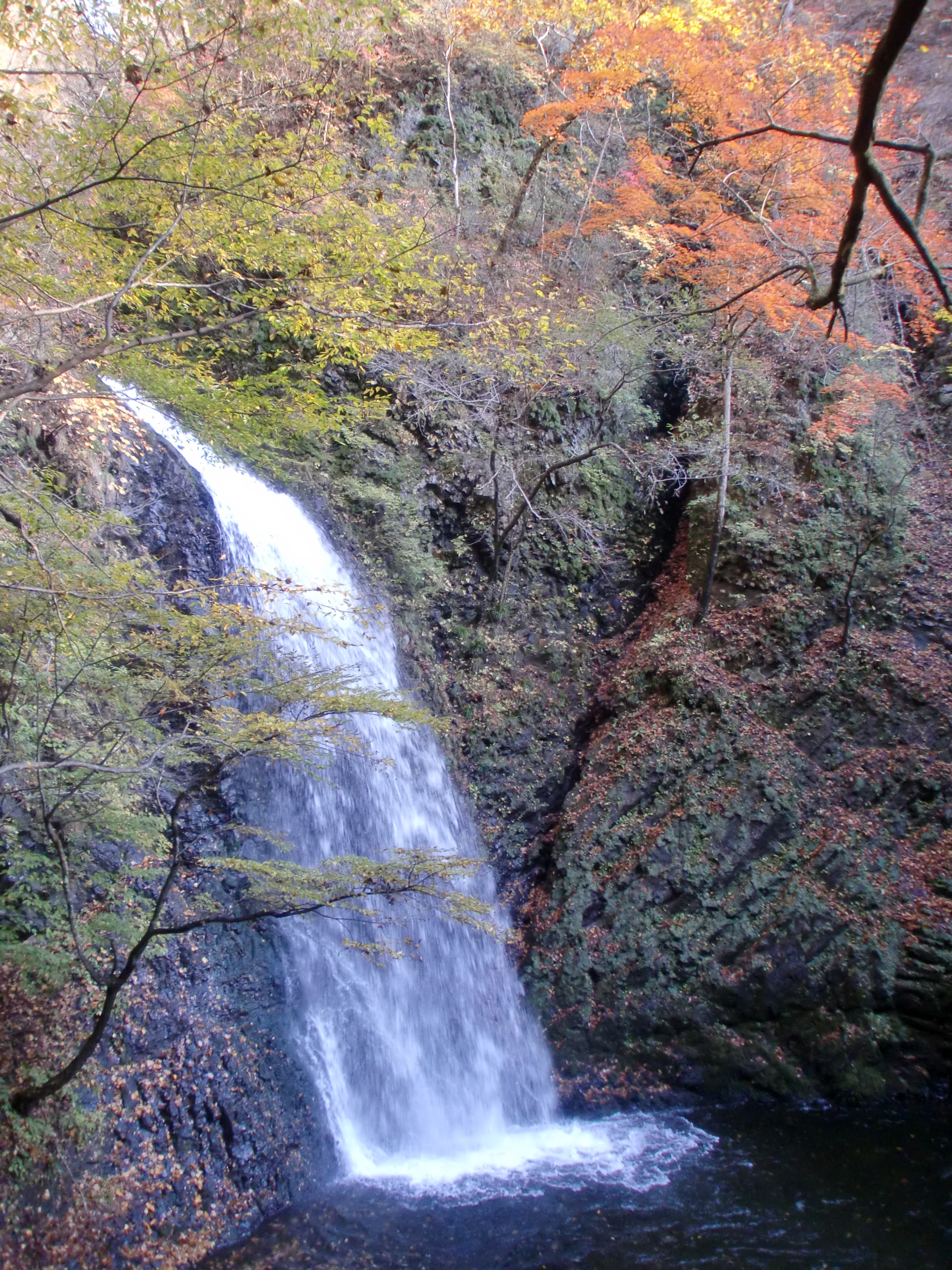 世立八滝
