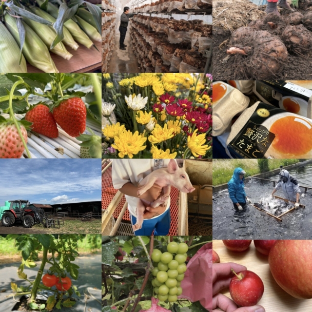 ※１組限定※移住・就農体験会参加者募集（東吾妻町）【6月26日（金）・27日（土）】