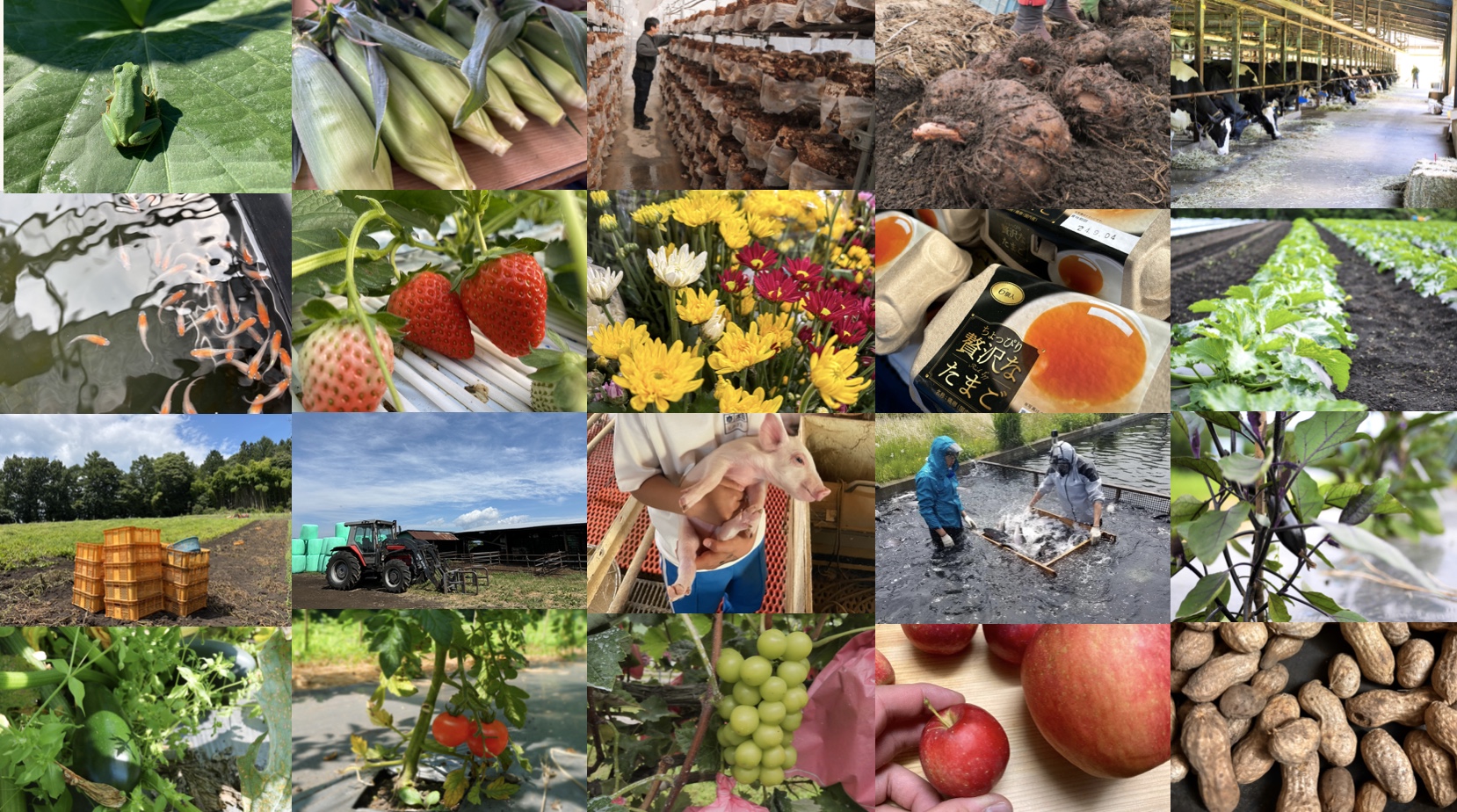 ※１組限定※移住・就農体験会参加者募集（東吾妻町）【6月26日（金）・27日（土）】