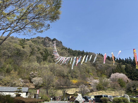 嵩山の鯉のぼり（中之条町）【5月24日（日）まで】