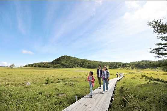 高山植物の楽園「池の平湿原ガイドウォーク」（嬬恋村）【6月30日（火）～7月24日（金）、8月17日（月）～8月28日（金）】※土日除く