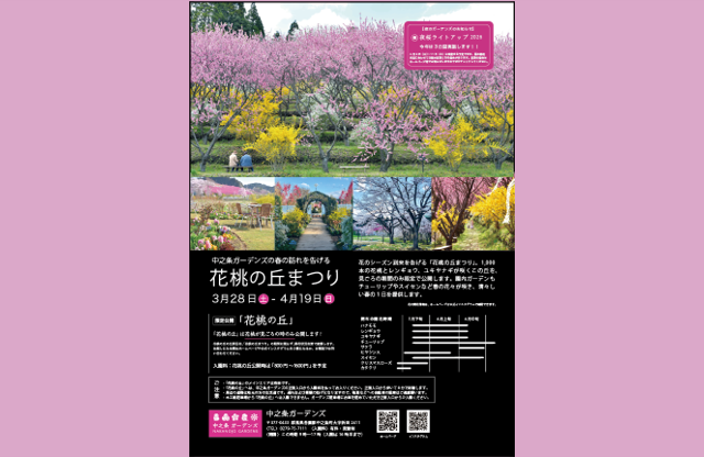 「花桃の丘まつり」を開催します（中之条ガーデンズ）【３月２８日（土）～４月１９日（日）】
