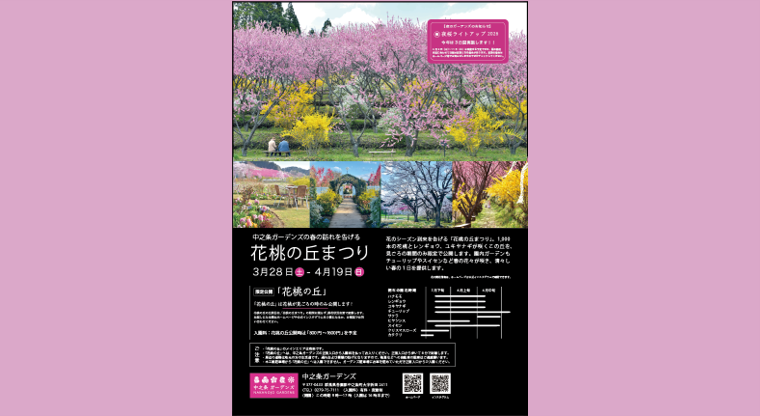 「花桃の丘まつり」を開催します（中之条ガーデンズ）【３月２８日（土）～４月１９日（日）】
