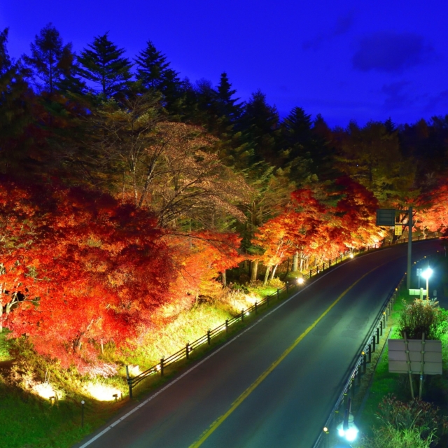道の駅紅葉ライトアップ（草津町）【10月28日（水）〜11月15日（日）】
