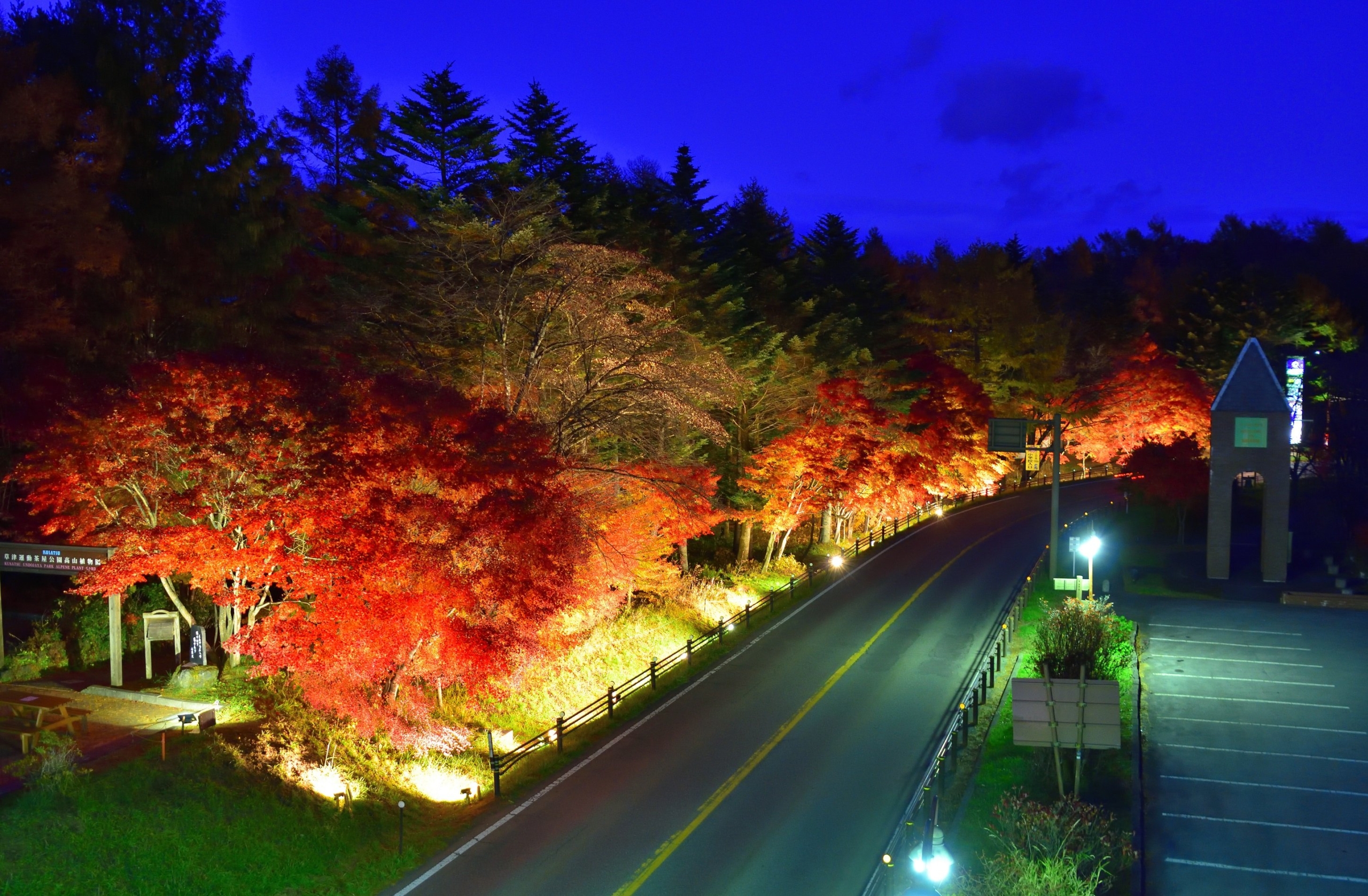 道の駅紅葉ライトアップ（草津町）【10月28日（水）〜11月15日（日）】