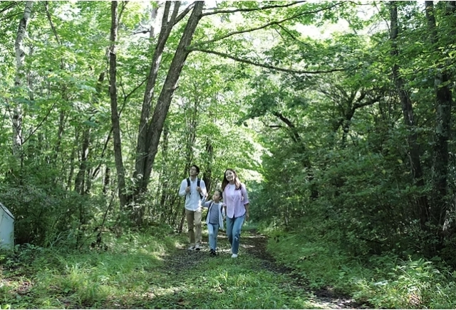 鹿沢の森 初夏のガイドウォーク（嬬恋村）【5月7日（木）～6月5日（金）※土日除く】