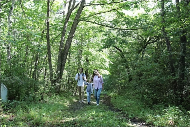 鹿沢の森 初夏のガイドウォーク（嬬恋村）【5月7日（木）～6月5日（金）※土日除く】